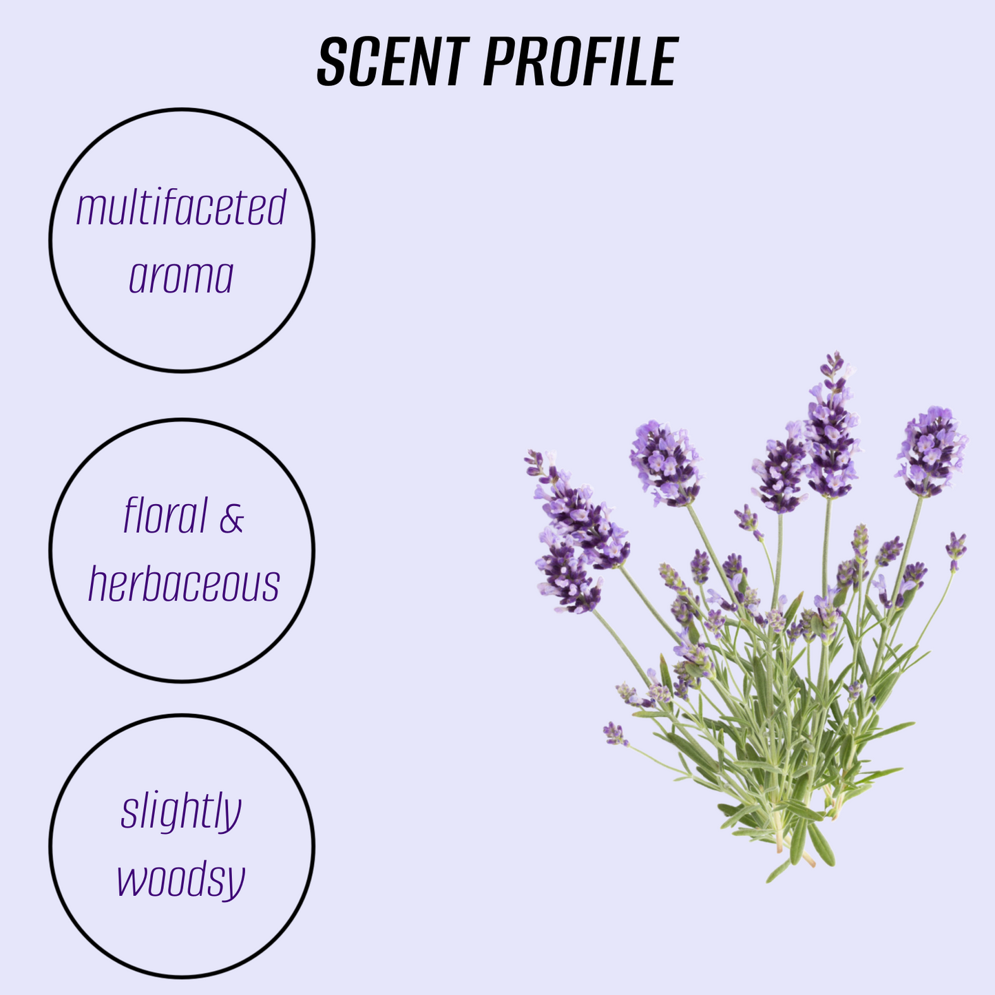 Lavender Body Butter