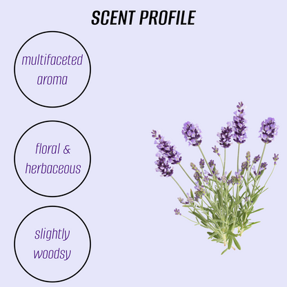 Lavender Body Butter