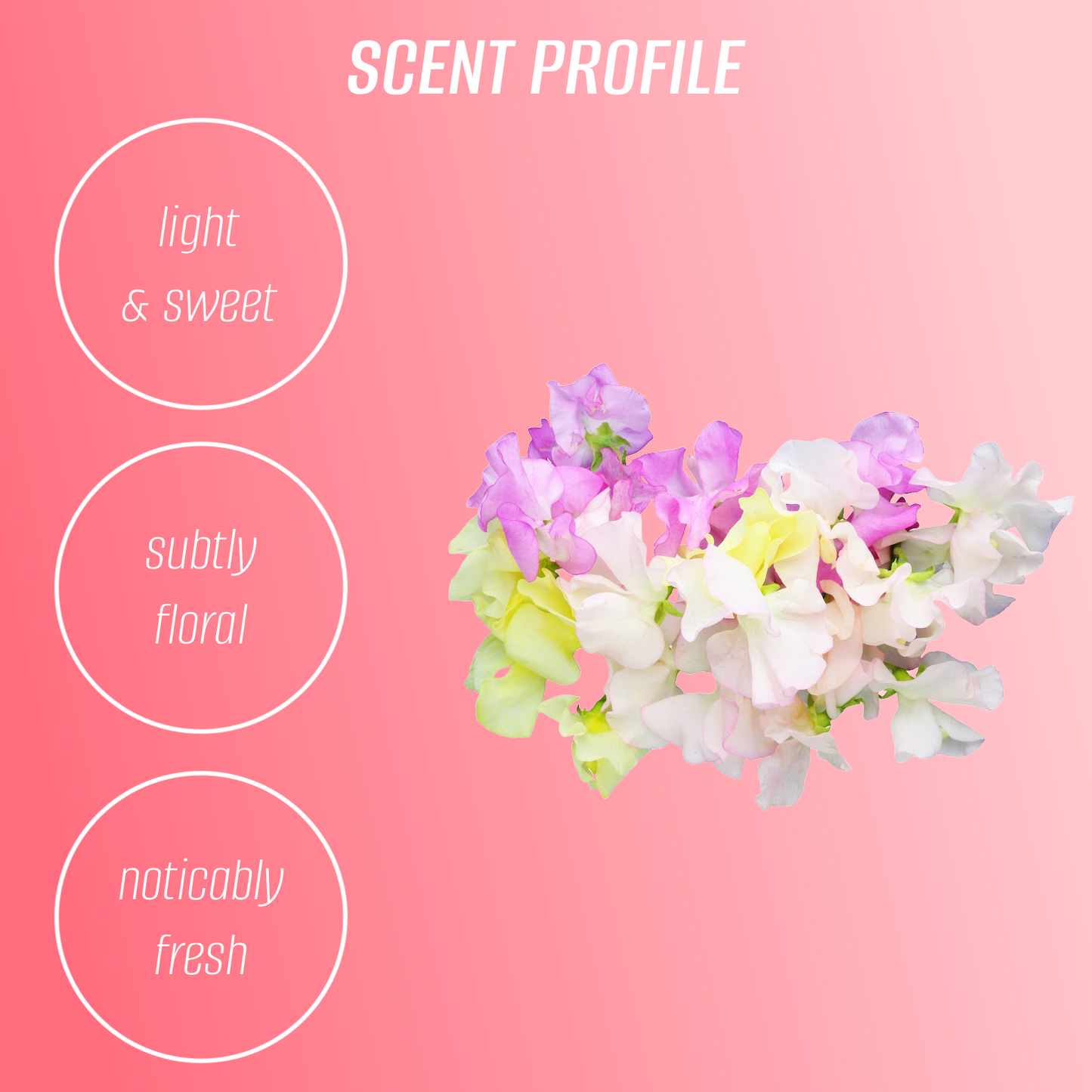 Wildflower Body Butter